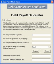 Debt Settlement Calculator screenshot